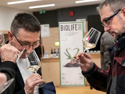 Bio Wine Festival