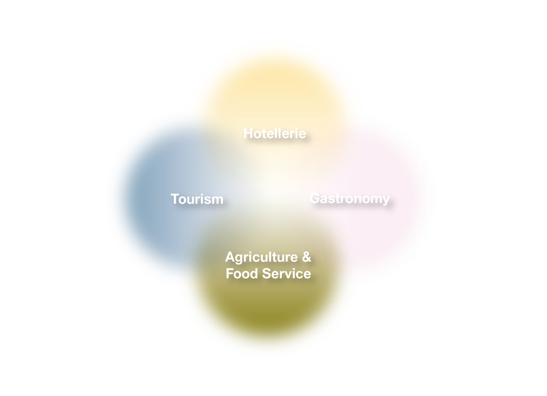 BEAM Segments of Hospitality & Their Future Topics