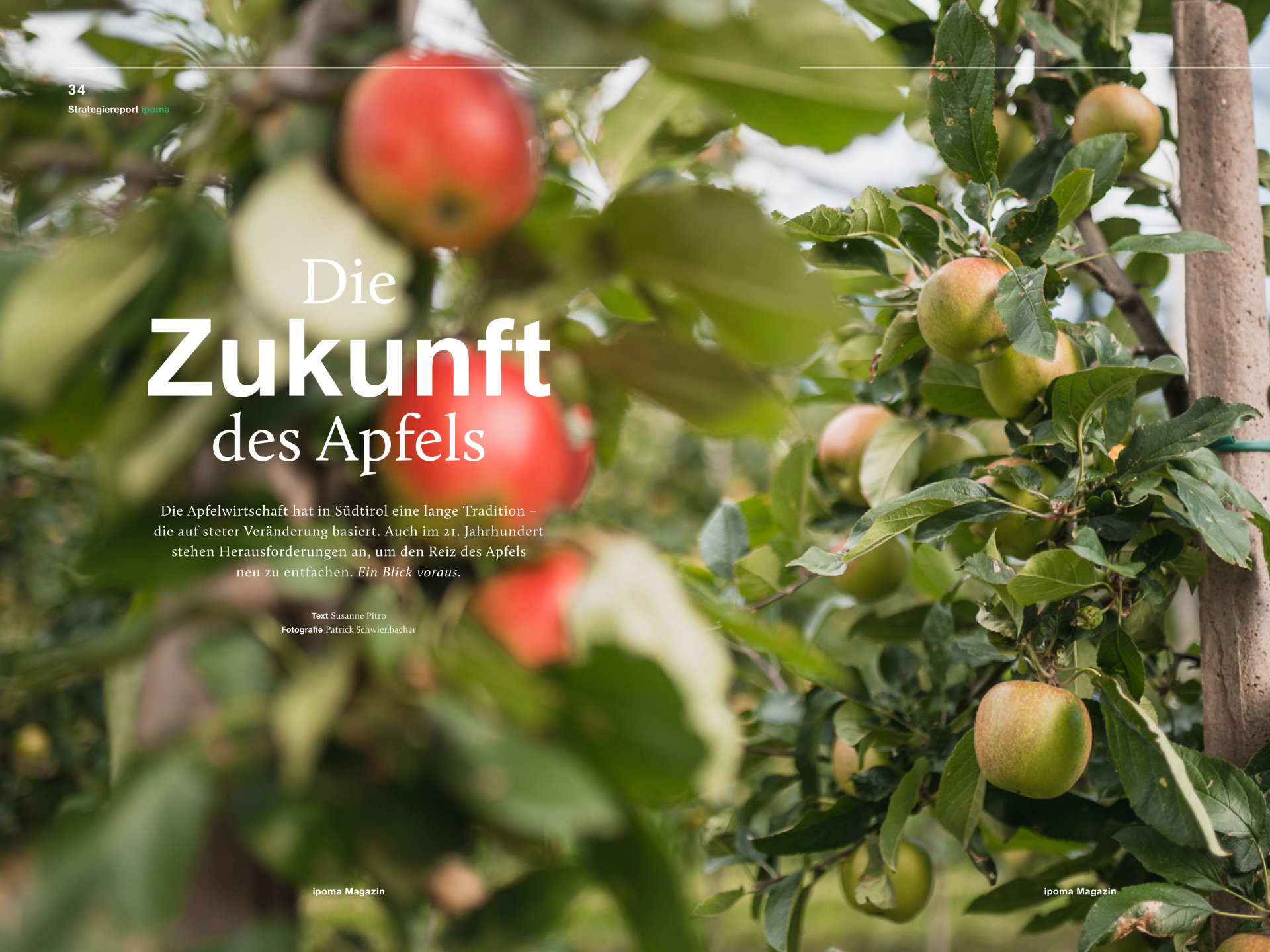 Die Zukunft des Apfels