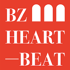 BZ heartbeat