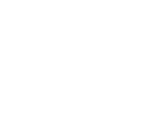 Consiglio dei Ministri