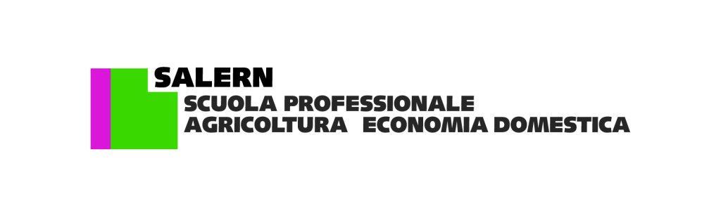 Scuola Professionale Salern