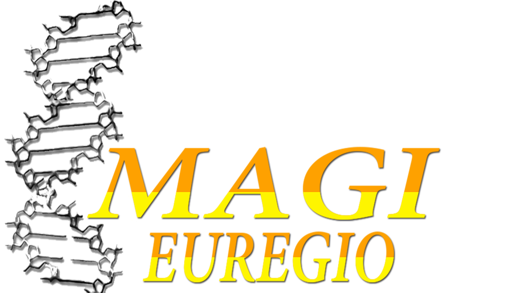 Magi Euregio 1080