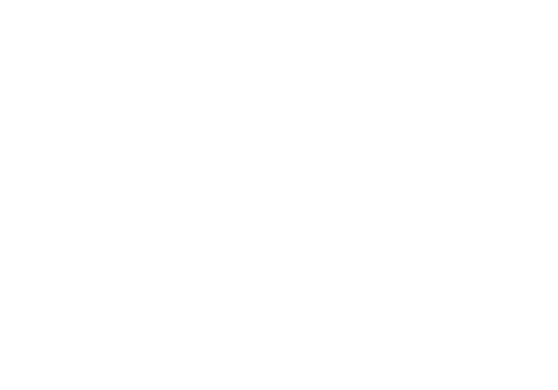 Vitalpina Hotels