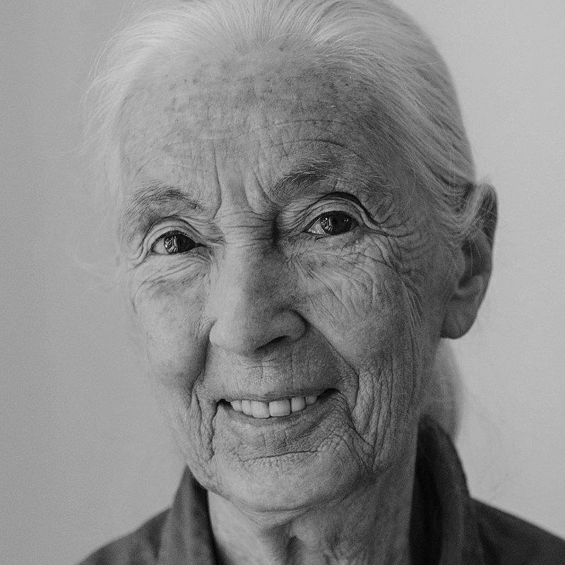 Dr. Jane Goodall, DBE